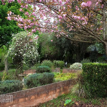 Birches Cottage & The Willows Garden Room Underberg Eksteriør billede