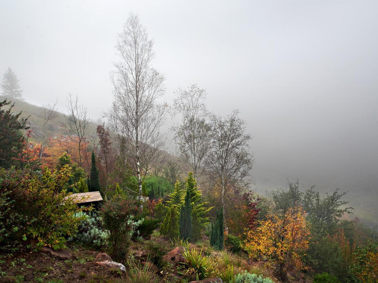 Birches Cottage & The Willows Garden Room Underberg Eksteriør billede