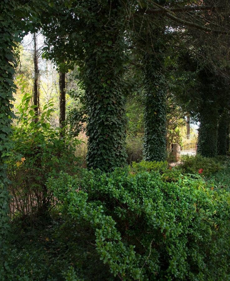 Birches Cottage & The Willows Garden Room Underberg Eksteriør billede