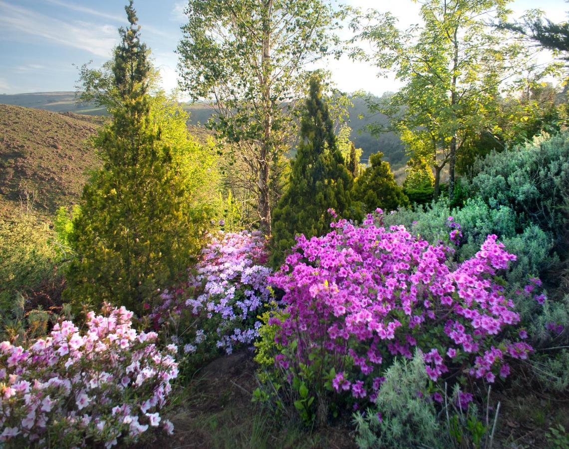 Birches Cottage & The Willows Garden Room Underberg Eksteriør billede