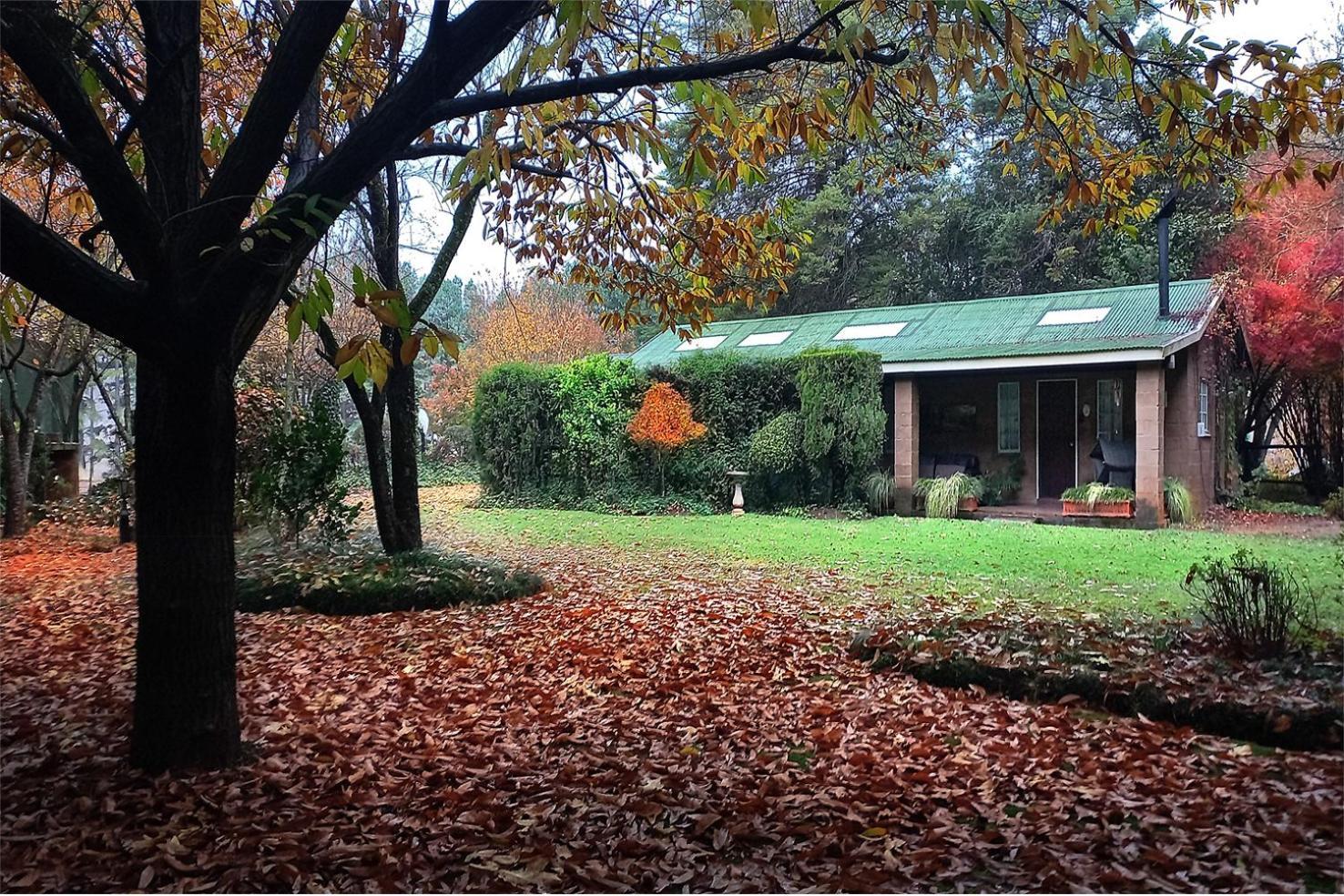 Birches Cottage & The Willows Garden Room Underberg Eksteriør billede