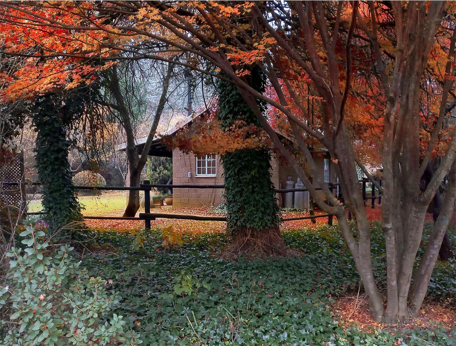 Birches Cottage & The Willows Garden Room Underberg Eksteriør billede