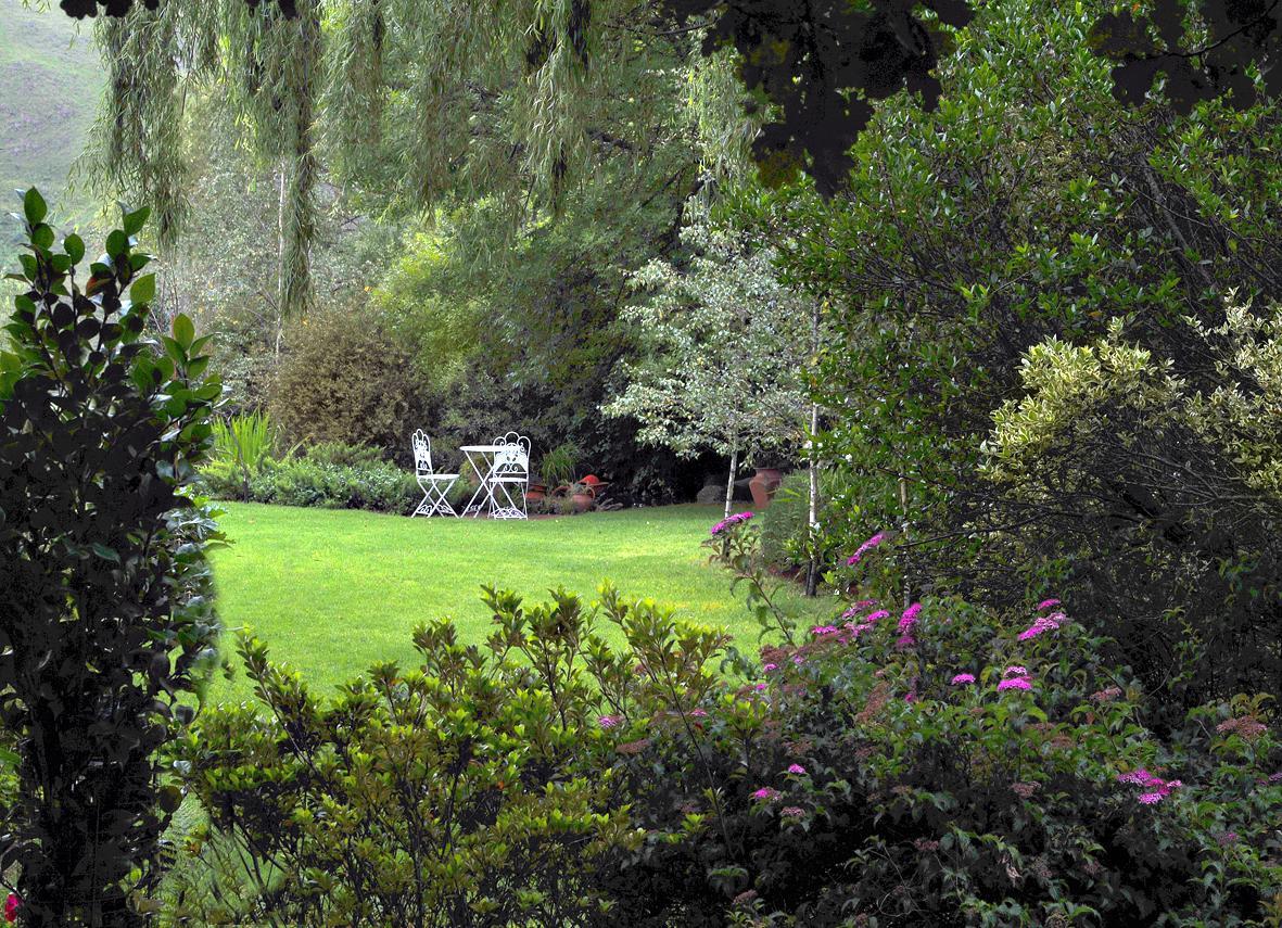 Birches Cottage & The Willows Garden Room Underberg Eksteriør billede