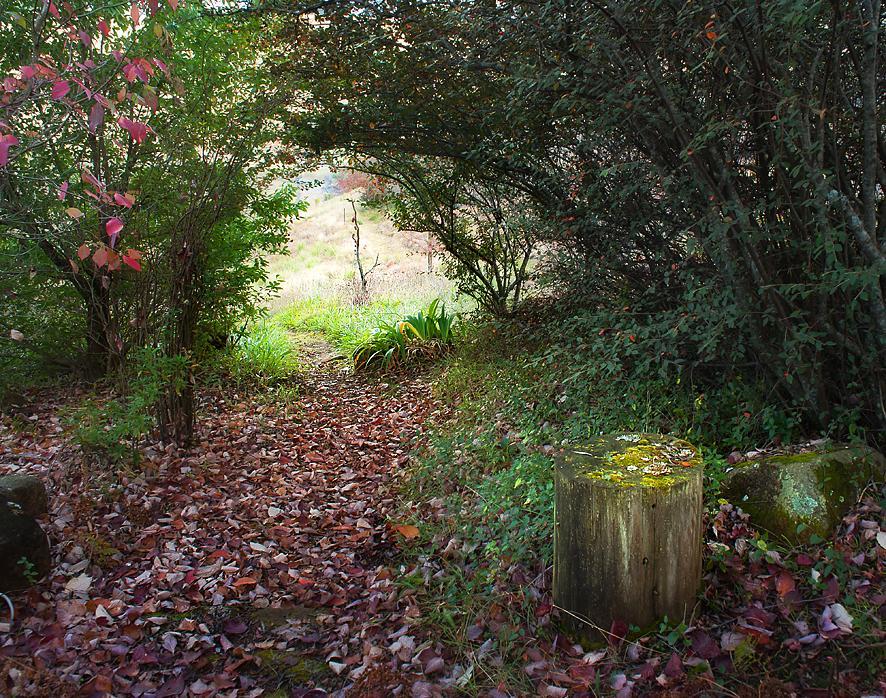 Birches Cottage & The Willows Garden Room Underberg Eksteriør billede