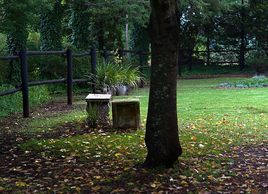 Birches Cottage & The Willows Garden Room Underberg Eksteriør billede