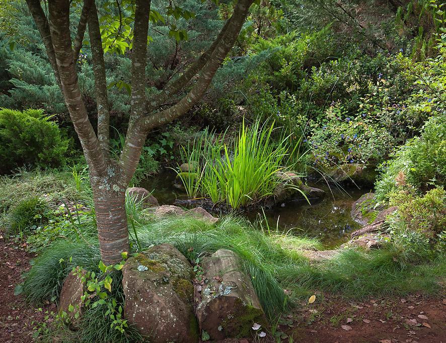 Birches Cottage & The Willows Garden Room Underberg Eksteriør billede