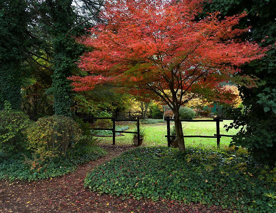 Birches Cottage & The Willows Garden Room Underberg Eksteriør billede